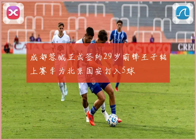 成都蓉城正式签约29岁前锋王子铭上赛季为北京国安打入5球