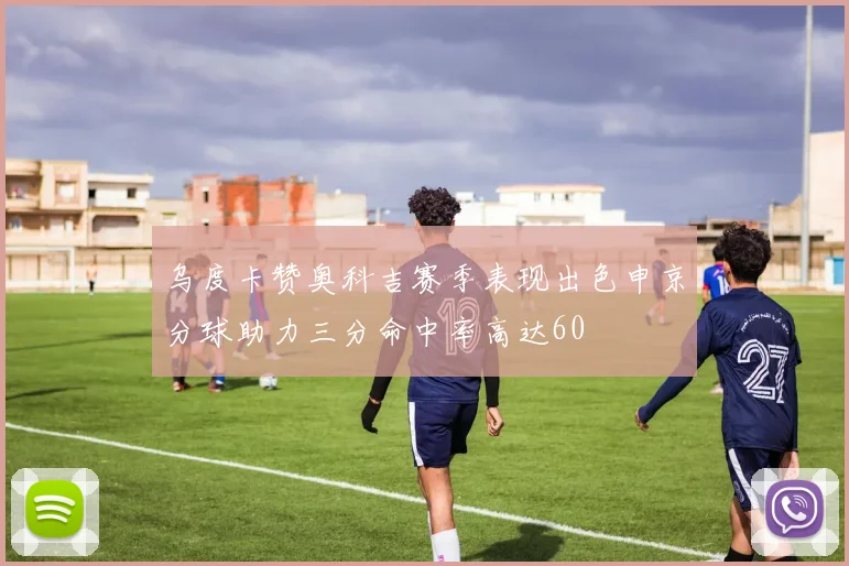 乌度卡赞奥科吉赛季表现出色申京分球助力三分命中率高达60